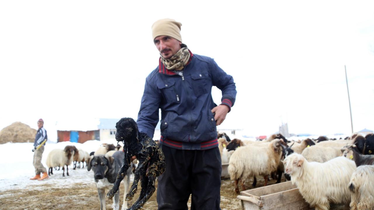 Besiciliğin zorlu bir iş olduğunu belirten Haci Arslan: