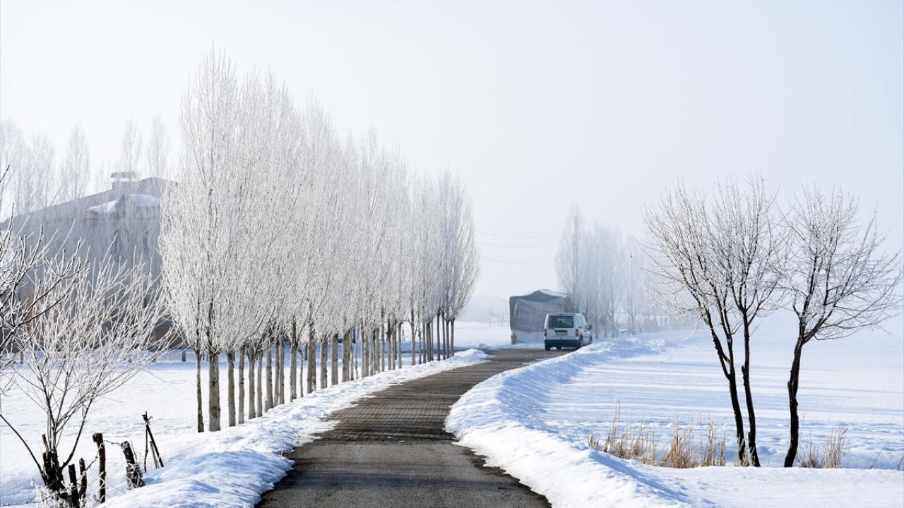 Soğuk hava nedeniyle ağaçlarda oluşan kırağı güzel görüntüler oluşturdu.