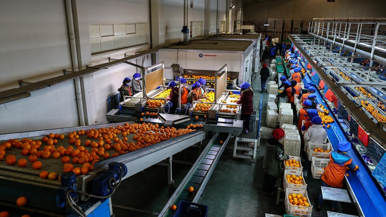 Bu ülkeyi 19 milyon 111 bin dolarla Irak ve 15 milyon 314 bin dolarla Ukrayna takip etti. 