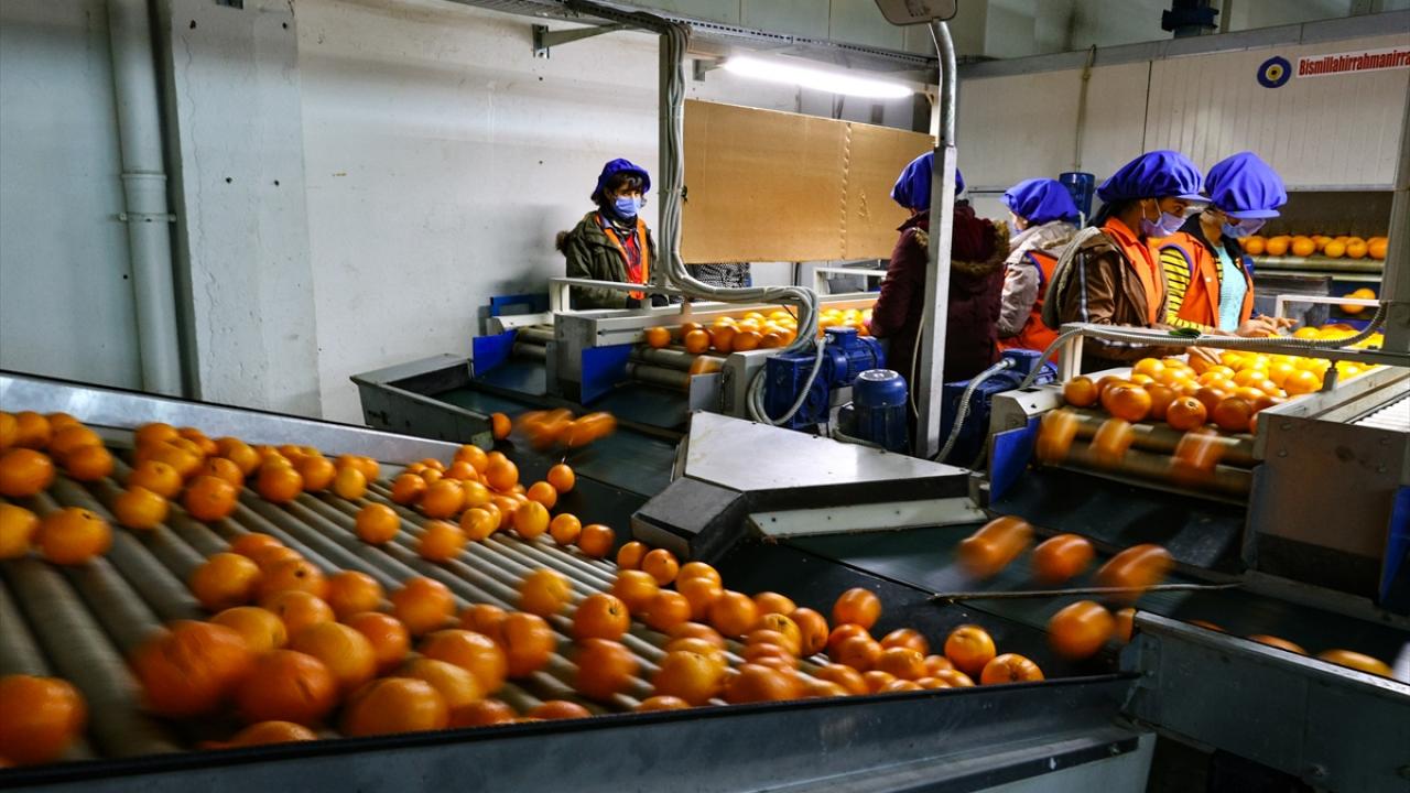 Uçak, salgın nedeniyle tarım ürünlerine talebin arttığına işaret ederek bu artış trendinin yılın ilk ayında devam ettiğini kaydetti.