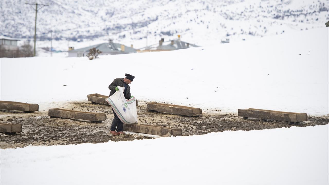 "İşimizi severek yaptığımız için kendimizi mutlu hissediyoruz"