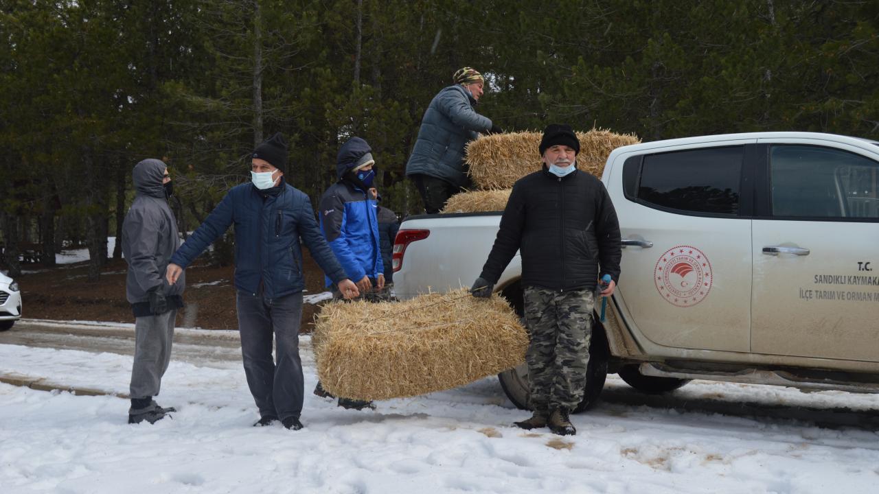 Bölgedeki yaban hayvanları ve yılkı atları için yemleme çalışması yaptıklarını söyleyen Yıldız: