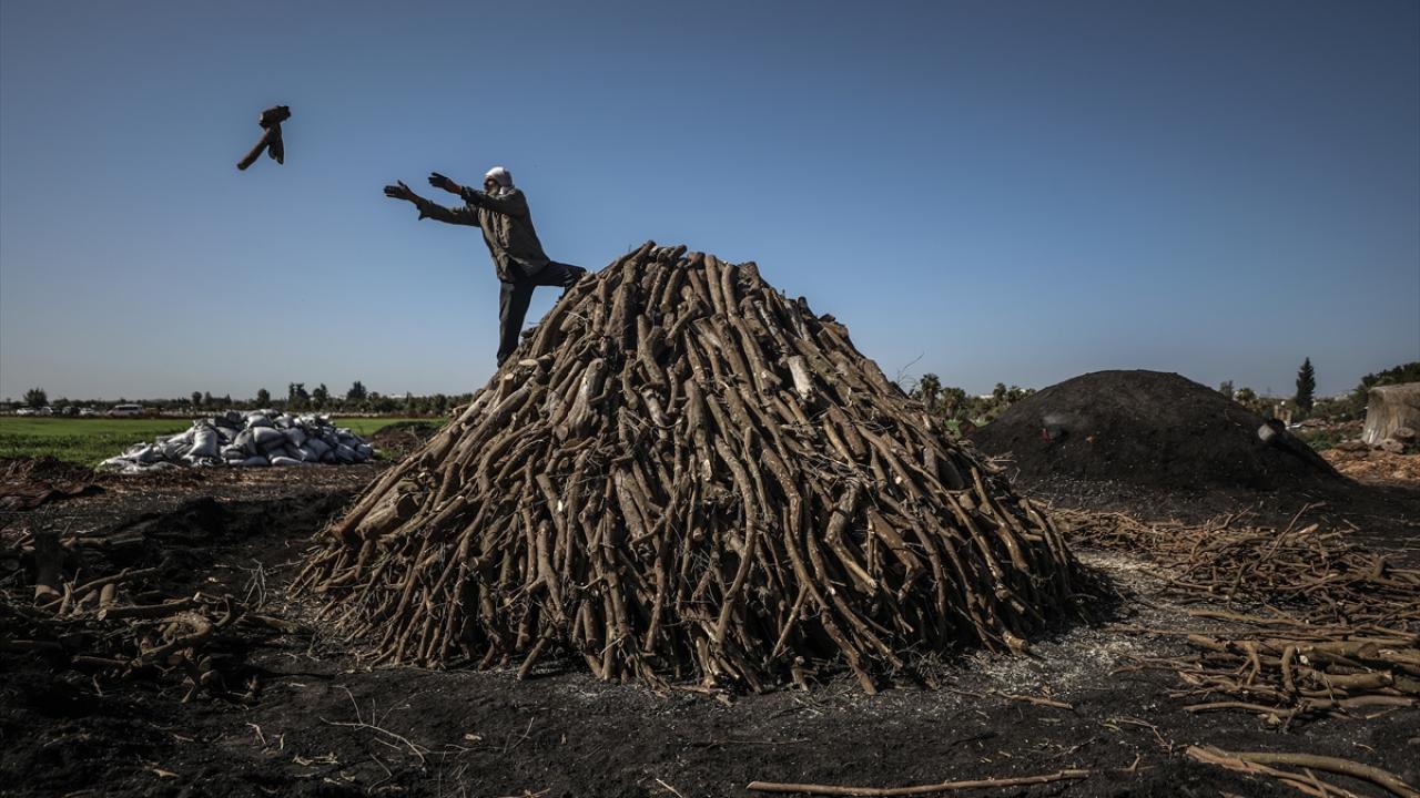 60 yaşındaki Filistinli kömür işçisi Taha Al-Hattab, Cebaliye Mülteci Kampı`ndaki tesiste ahşap ve odun kalıntılardan geri dönüşüm sağlayarak odun kömürü imal ediyor.