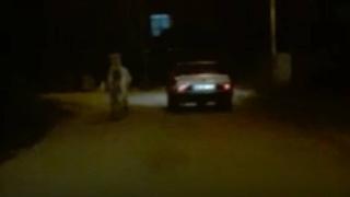 Otomobilin arkasına bağladığı atı uzun süre koşturdu