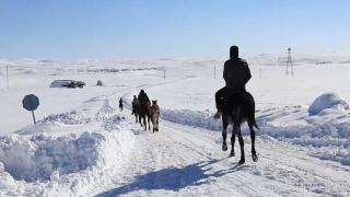 Atlar kar üstünde yarışlara hazırlanıyor