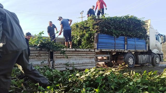 Defneden bu y�l ekonomiye 2 milyar lira katk� hedefleniyor