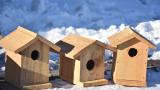 Kars'ta köylüler kuşların donmaması için mini yuvalar yaptı