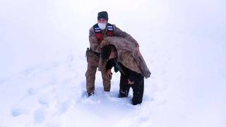 Donma tehlikesi geçiren adamın yardımına Mehmetçik yetişti