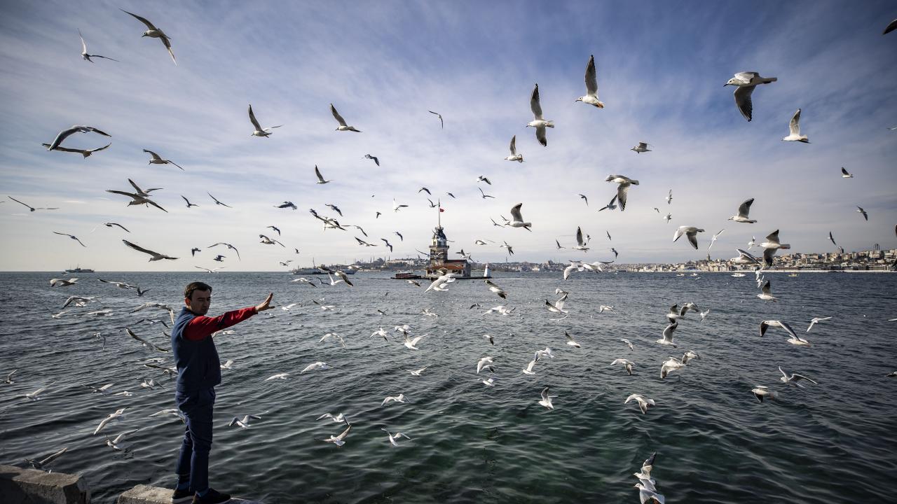 2004 - 11 milyon 910 bin 733