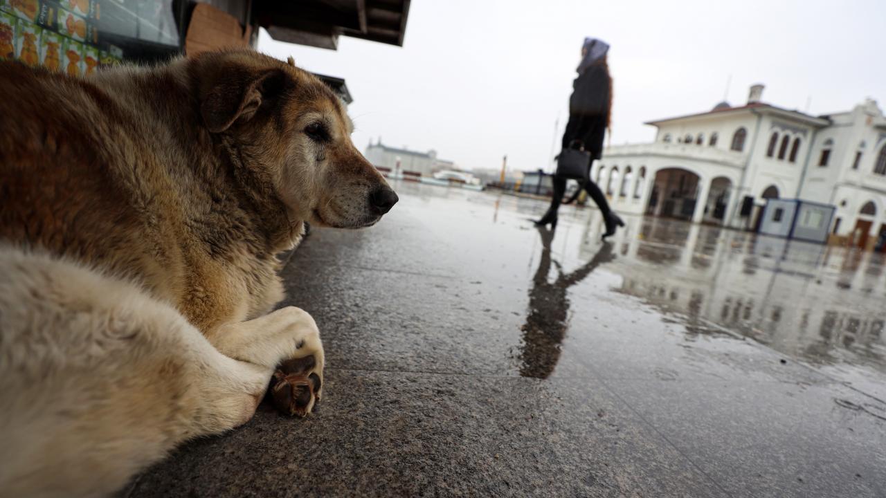 2010 - 13 milyon 255 bin 685