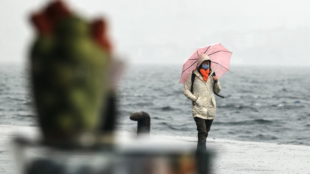 2020 - 15 milyon 462 bin 452