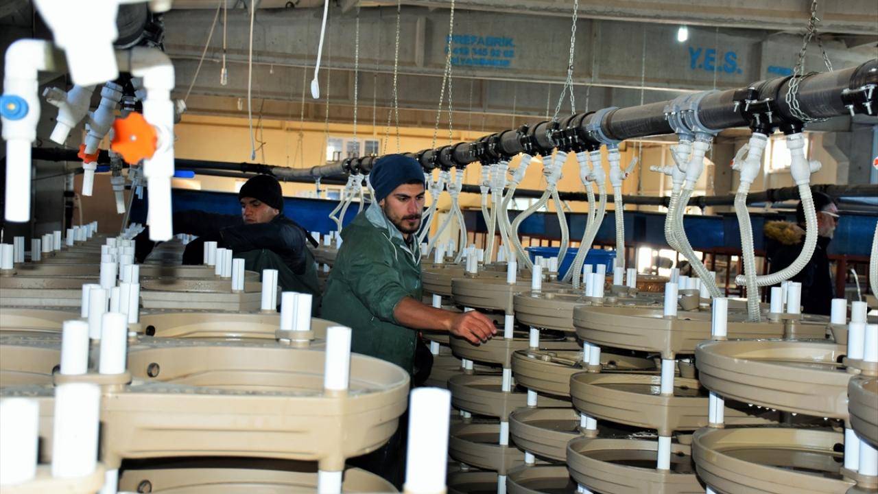 "Hedefimiz üretimi artırmak"