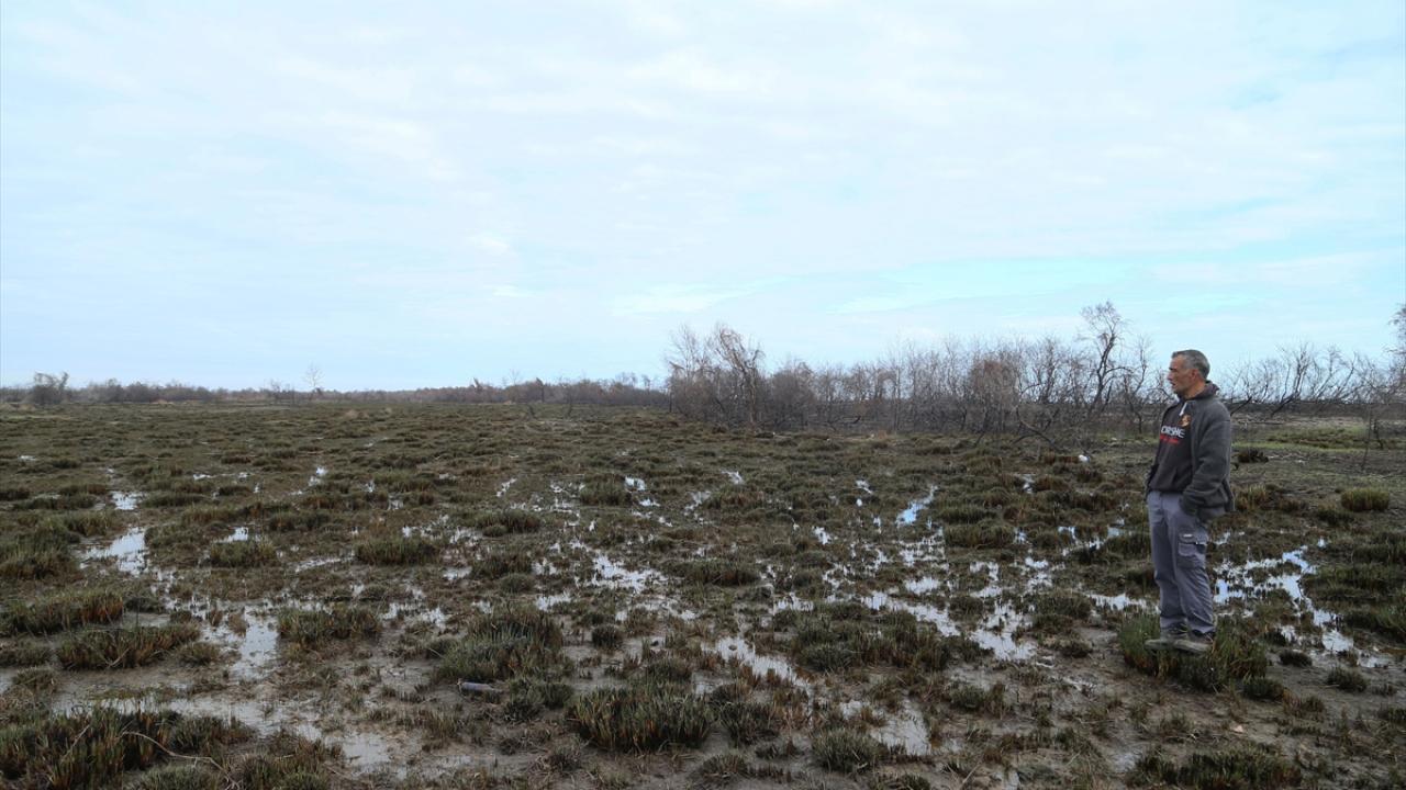 Kızılırmak Deltası Kuş Cenneti