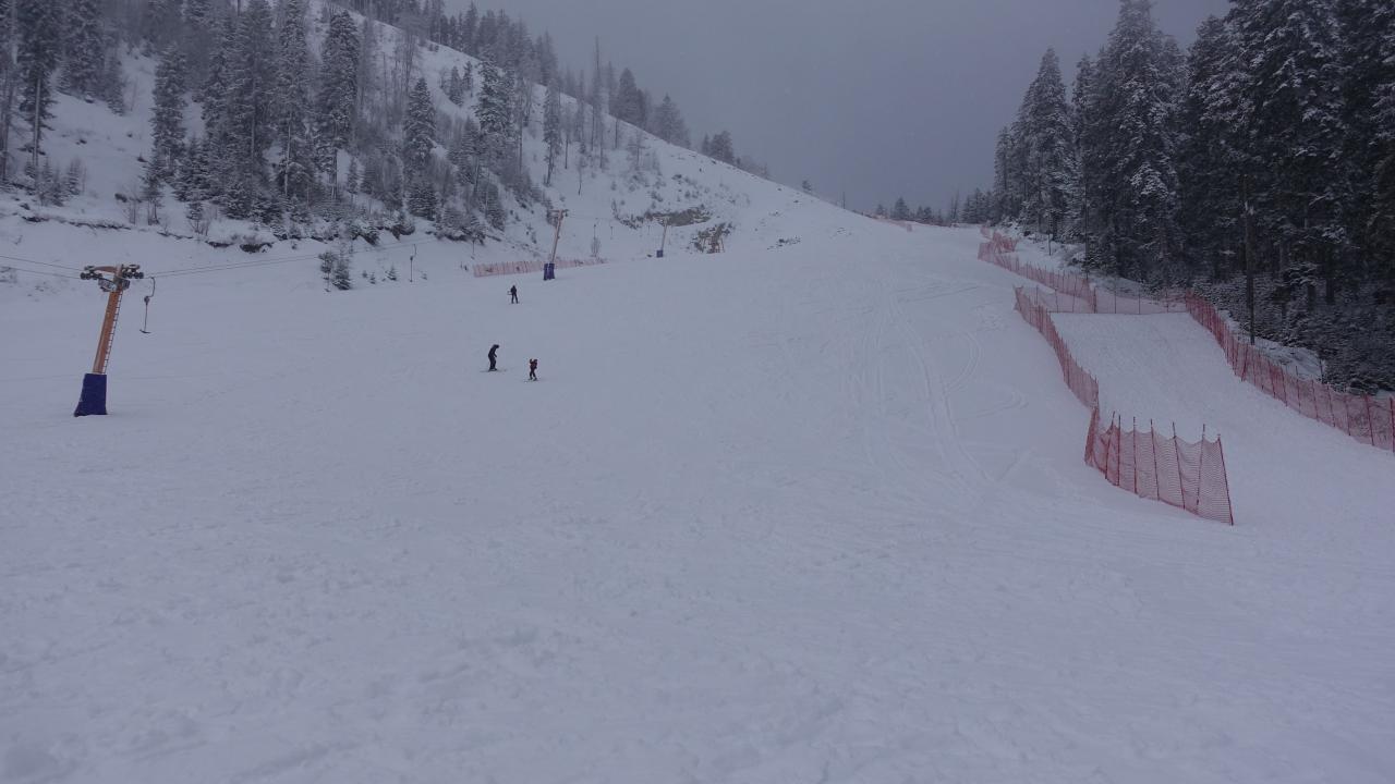 Tesis ağaçlar arasında yer alıyor