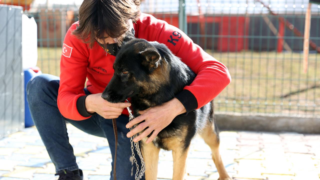 Köpeklerde eğitimin yavruyken başladığına işaret eden Meki: