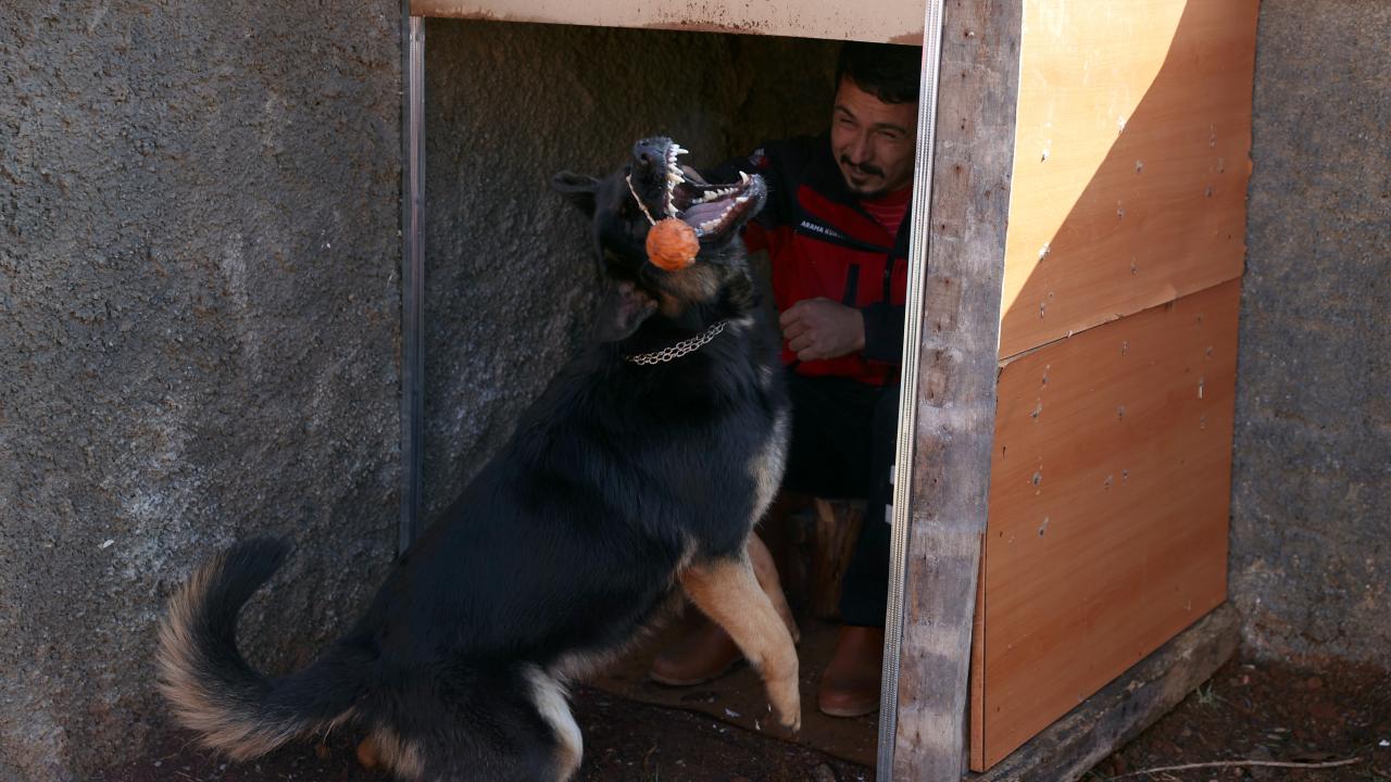 Meki, köpeklere duyduğu ilgi üzerine eğitmenlik için 5 yıl önce Ankara`da kursa katıldığını anlattı.