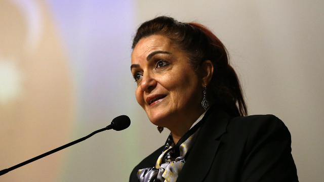 Cumhurbaşkanlığı Güvenlik ve Dış Politikalar Kurulu üyeliğine Aygün Attar atandı
