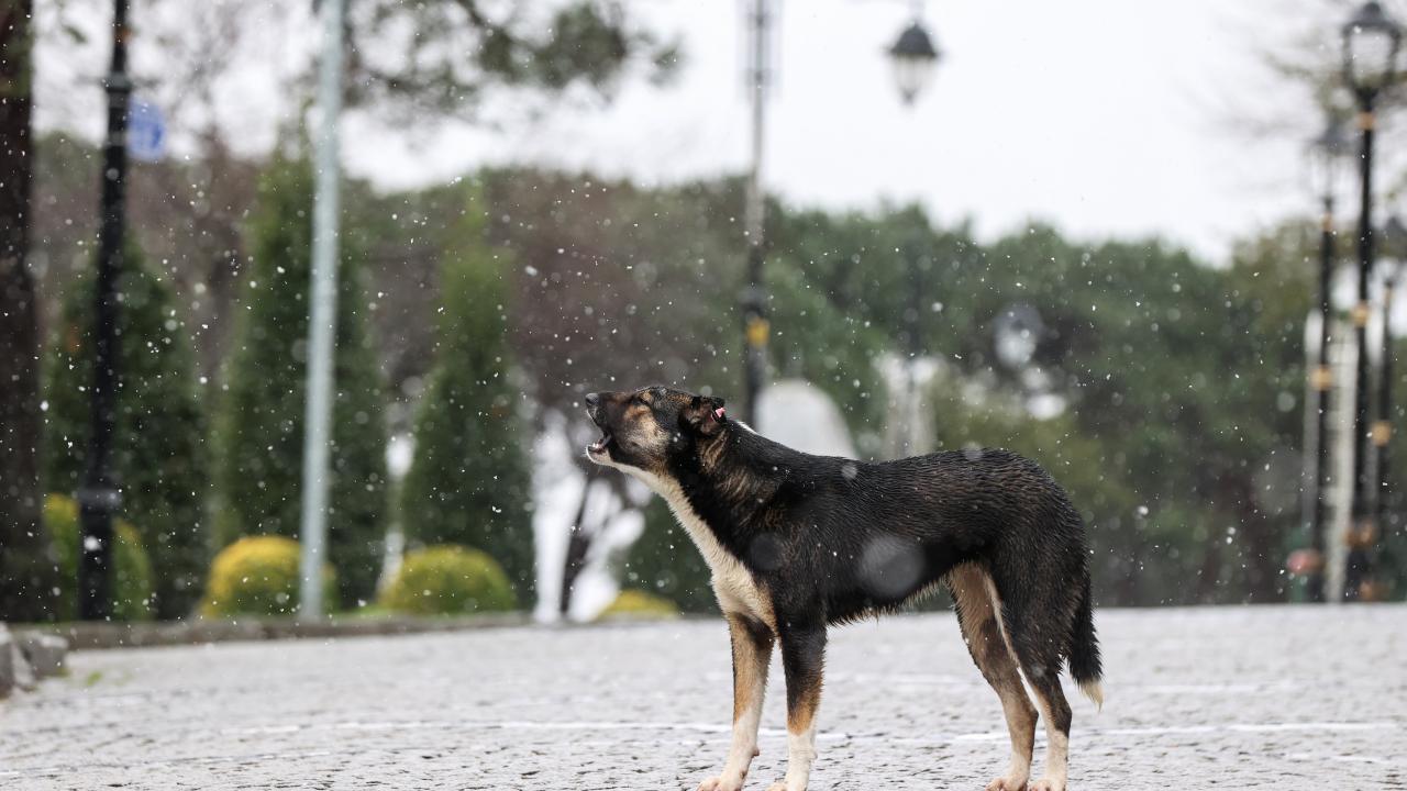 İç Anadolu’da yüzde 37 artış