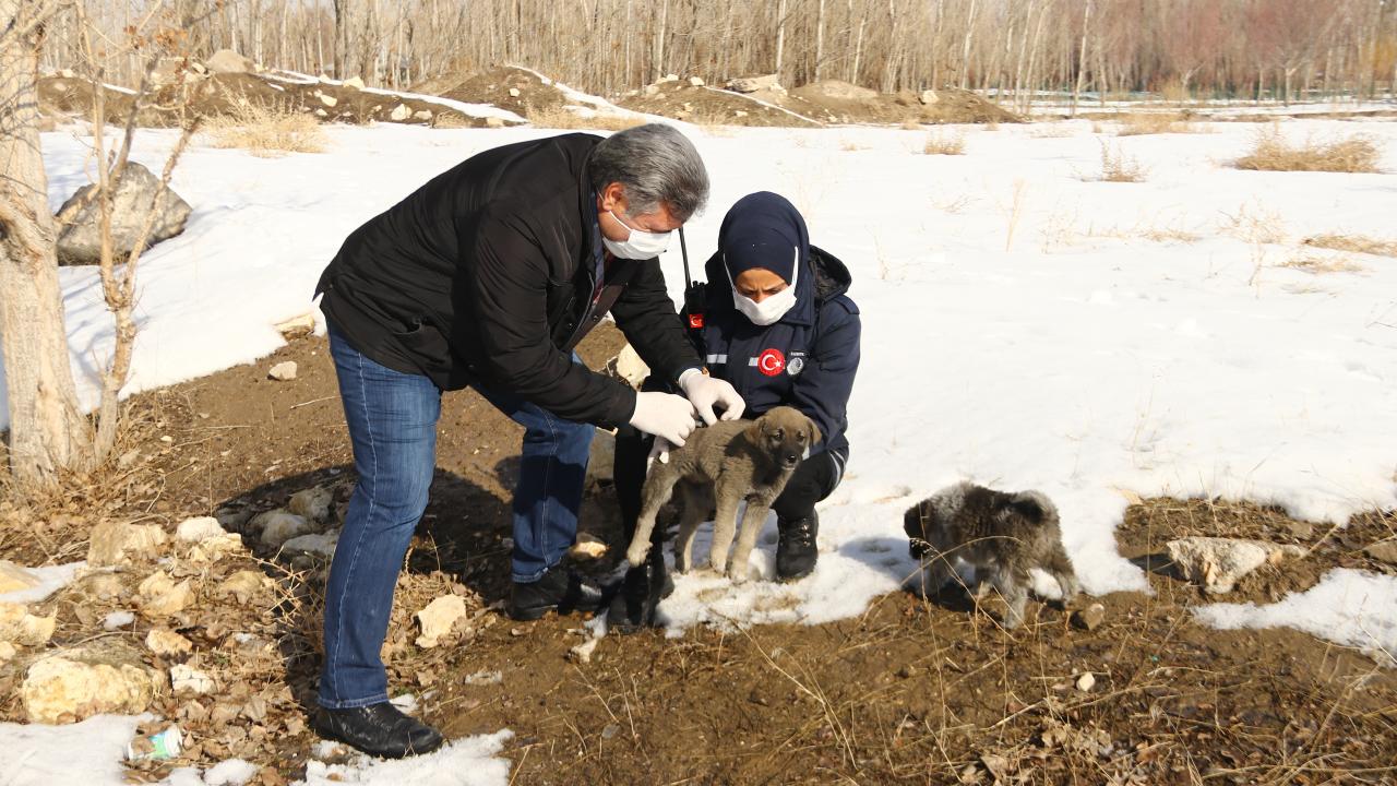 Fotoğraf: Necmettin Karaca