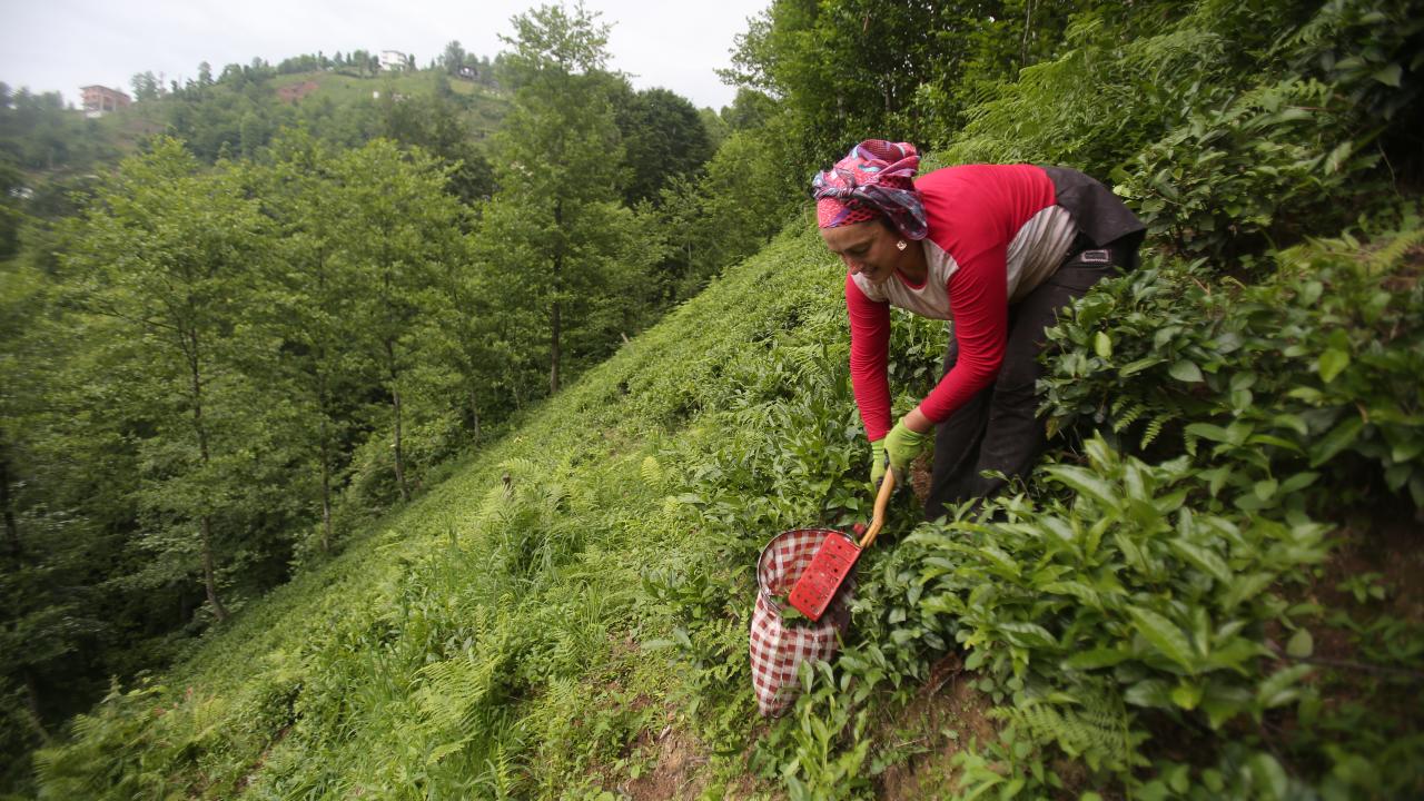 "İhracat potansiyelimizin daha da artacağına inanıyoruz"