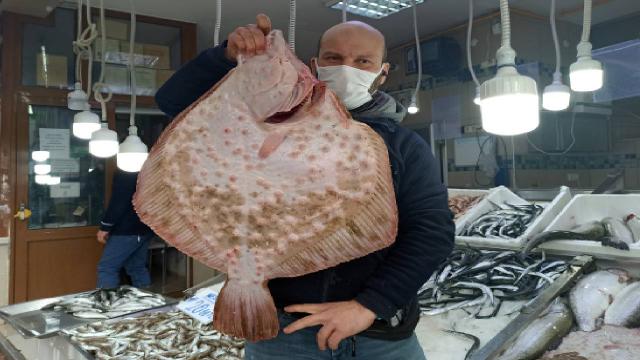 Ağa takılan dev kalkan balığı kilosu 200 liradan satıldı