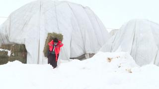 Bingöl’de besicilerin zorlu kış mesaisi
