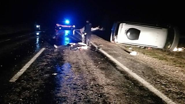 Domuza çarpan hafif ticari araç şarampole yuvalandı: 3 ölü