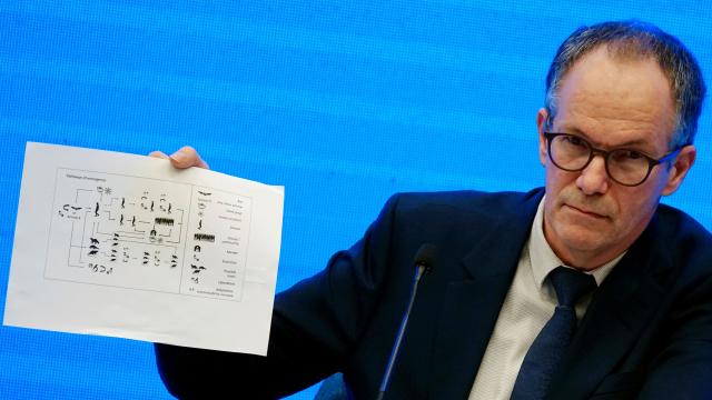 Wuhana giden DSÖ uzmanı: Aralık 2019daki salgının boyutu düşünülenden daha büyük