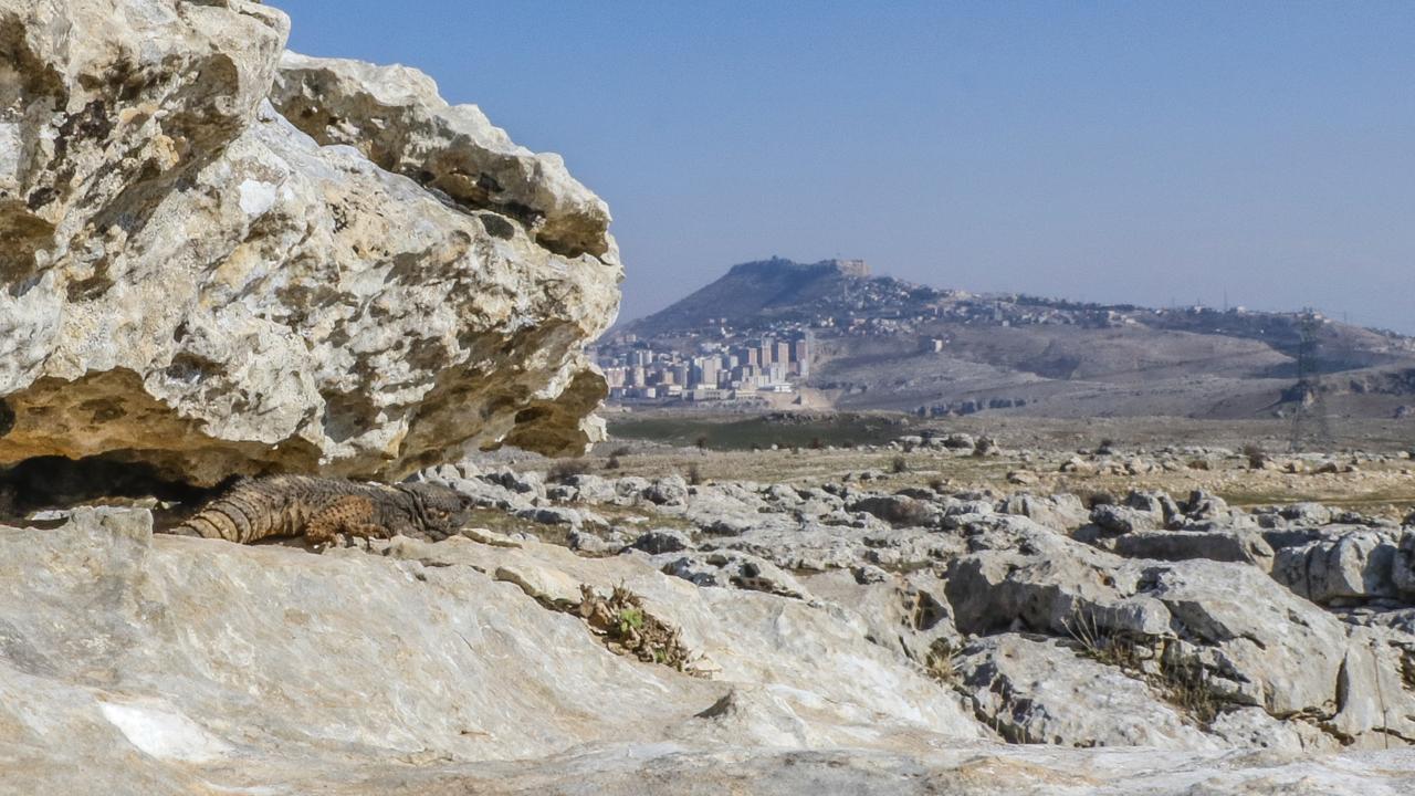 "Küresel ısınmadan olabilir"