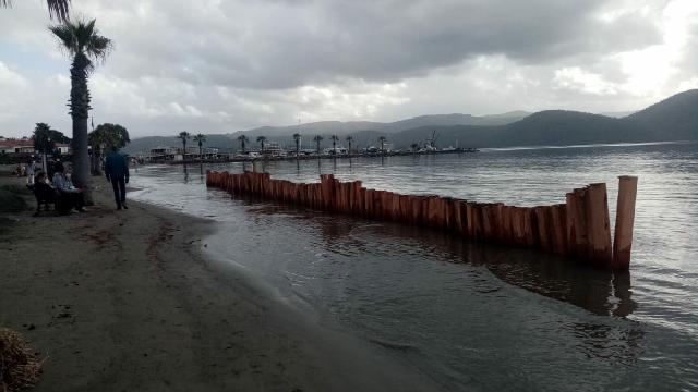 Aşırı yağışlara sahilde ağaç kazıklı önlem