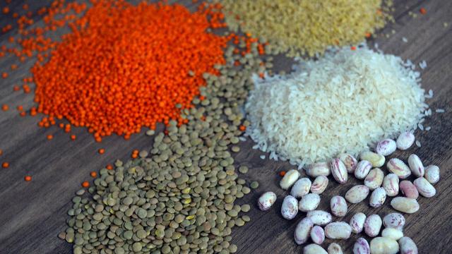 Bakliyat üretimi sağlanan desteklerle 2020de arttı