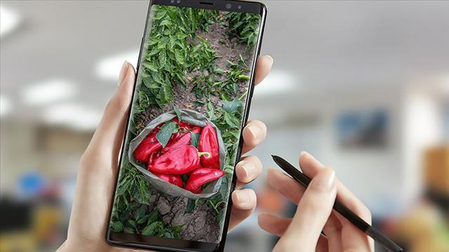 Dijital Tarım Pazarı üreticinin yüzünü güldürüyor