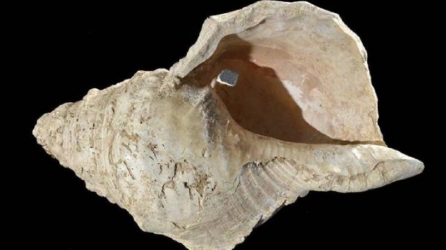 Fransada 17 bin yıllık üflemeli çalgı keşfedildi