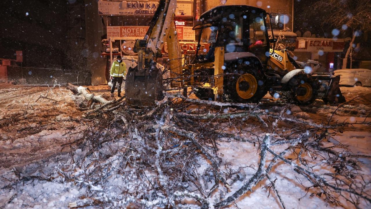 Birçok ilçede ağaç devrilmesi meydana geldi