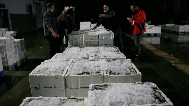 Farklı illerden balıkçılar Samsundaki mezatta buluşuyor
