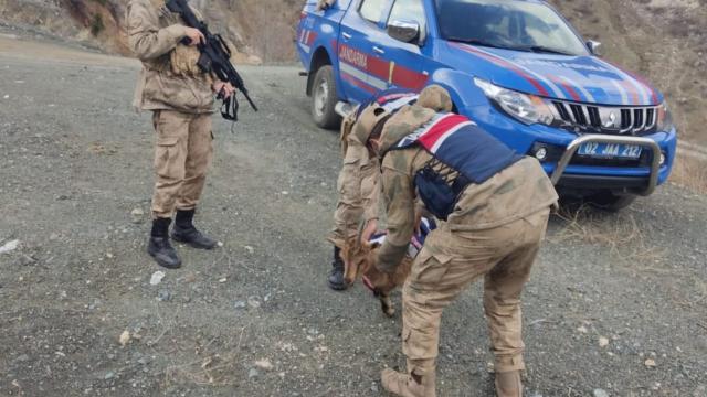 Adıyamanda yaralı bulunan dağ keçisi tedavi altına alındı