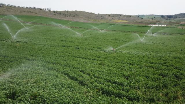Tarımsal sulamada israfın önüne geçilecek