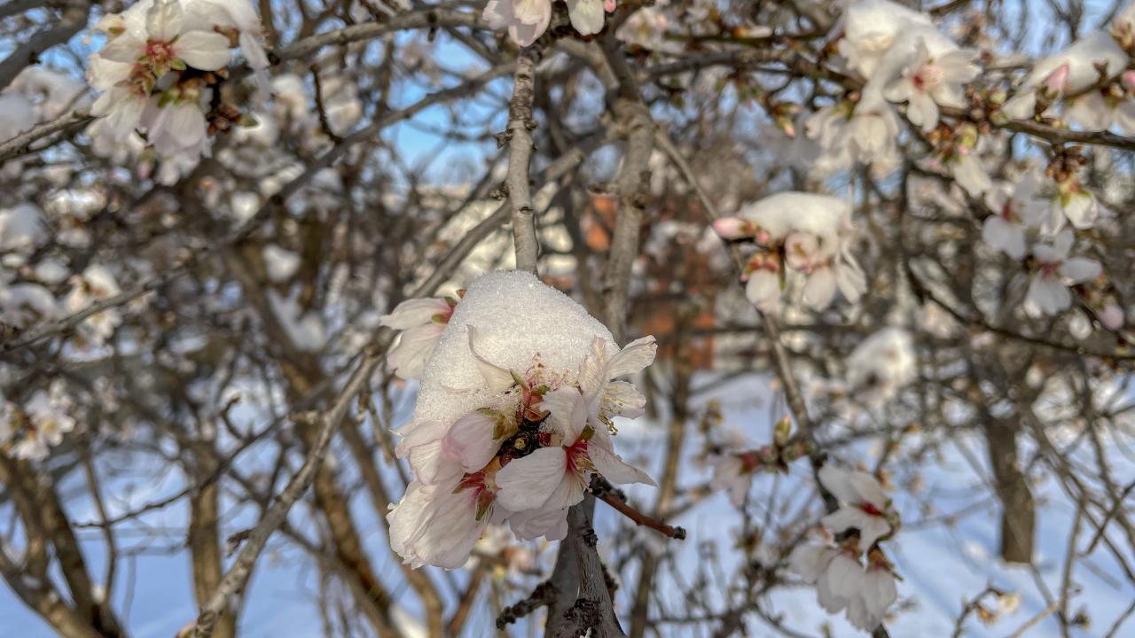 "Verim kayıpları oluşur"