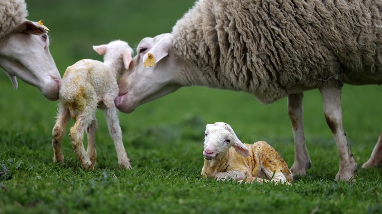Kapasite 2 katına çıkarılacak