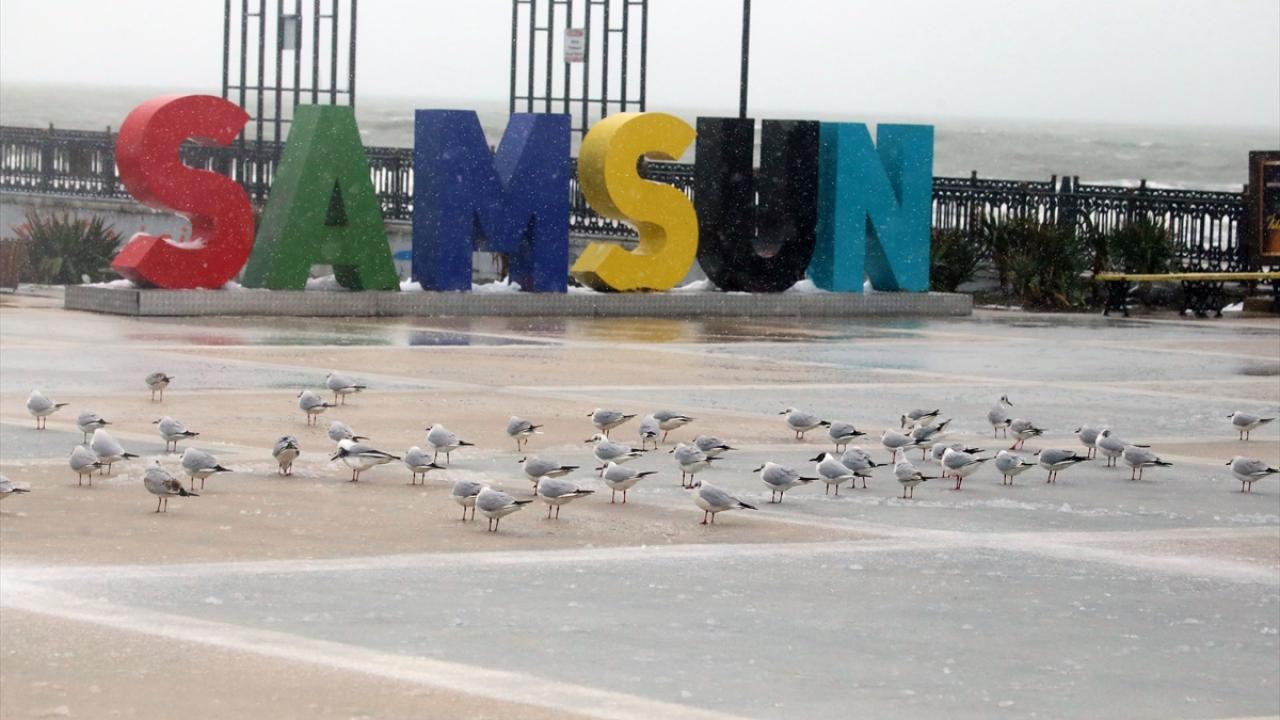 Samsun