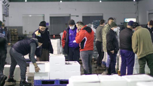 Türkiyedeki balıkçıların buluşma noktası: Samsun Balık Hali