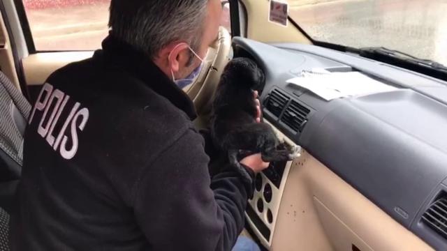 Polis köpek yavrusunu ekip otosunda ısıttı