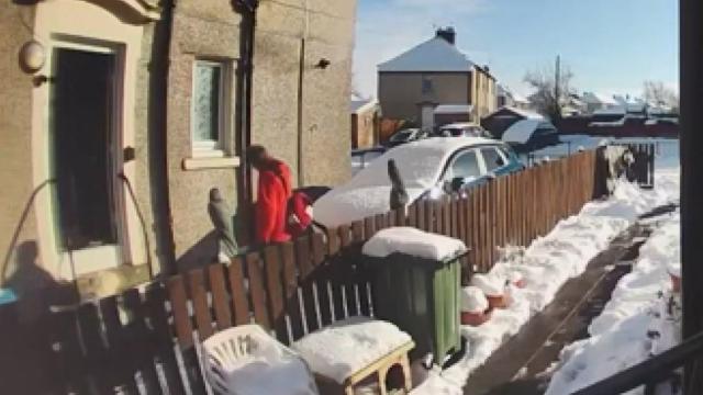 "Yorgunum" dedi, yere düşen yaşlı kadına yardım etmedi