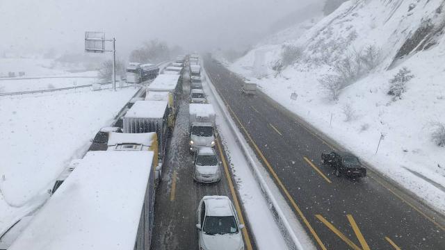 Sakaryada 2 tırın çarpıştığı kaza trafiği aksattı