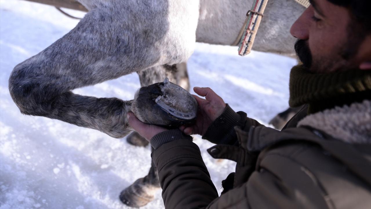 "Atlarımızın kar lastiği, çivili nallarımızdır"