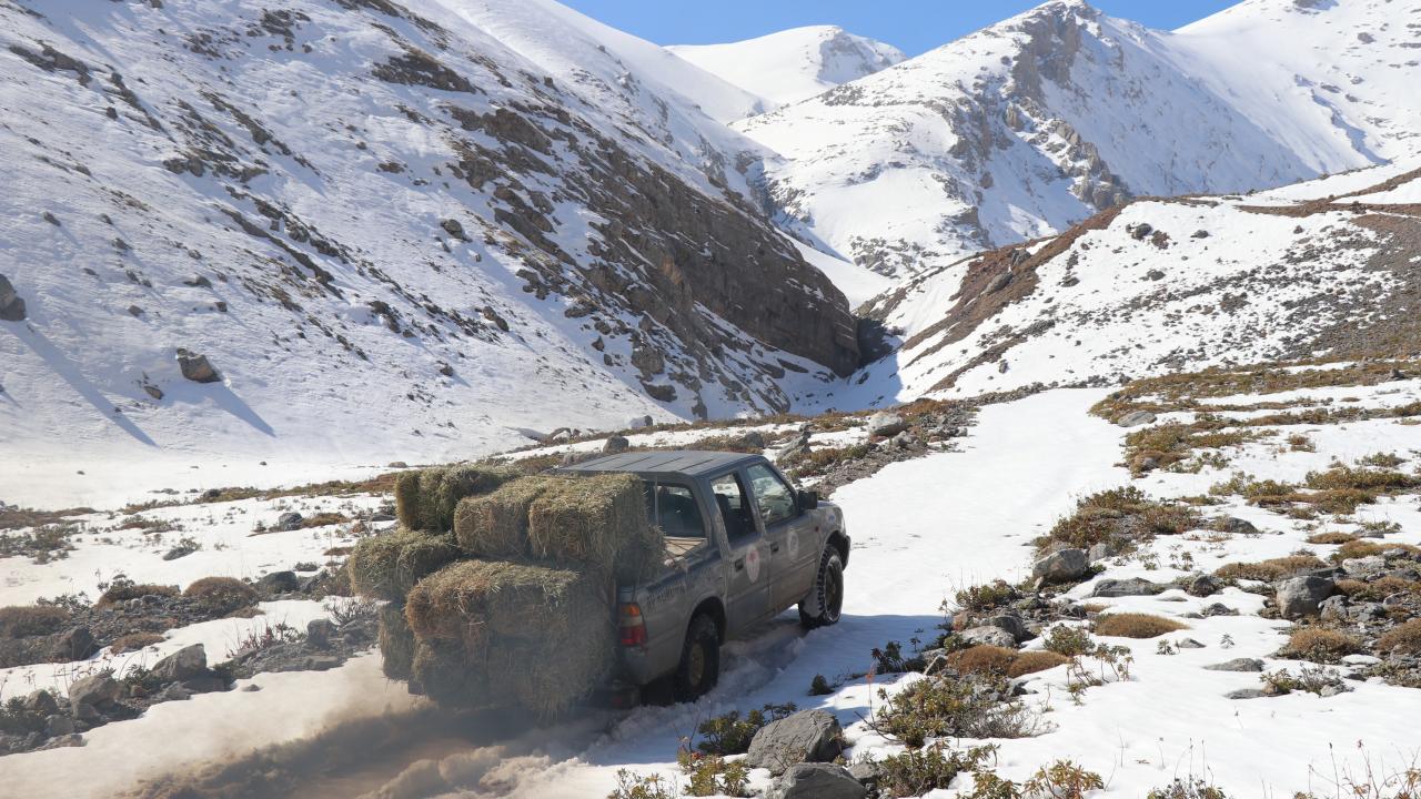 "Geçtiğimiz yıl farklı alanlara 46 su yalağı yaptık"