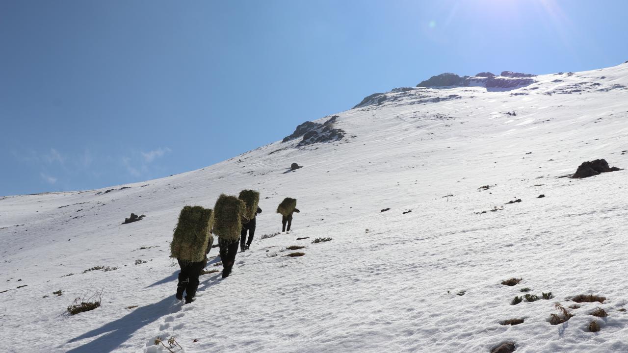 Hayvanların sayısının artırılmasına yönelik üç basit formülleri olduğunu belirten Çangır, şöyle konuştu: