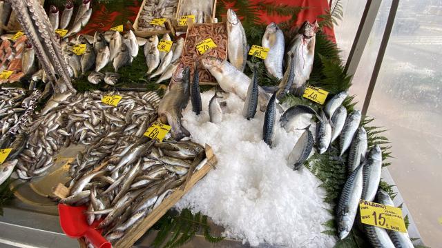 Sakarya ve Zonguldakta soğuk hava balık fiyatlarını arttırdı