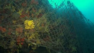 Hayalet ağlar temizleniyor