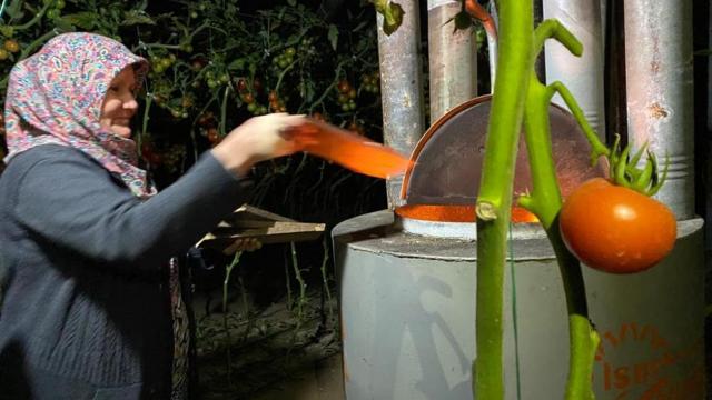 Antalyada kadın çiftçilerin "zirai don" nöbeti